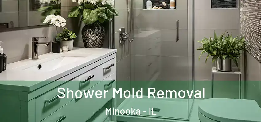  Shower Mold Removal Minooka - IL