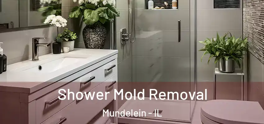  Shower Mold Removal Mundelein - IL
