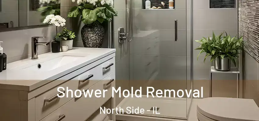  Shower Mold Removal North Side - IL