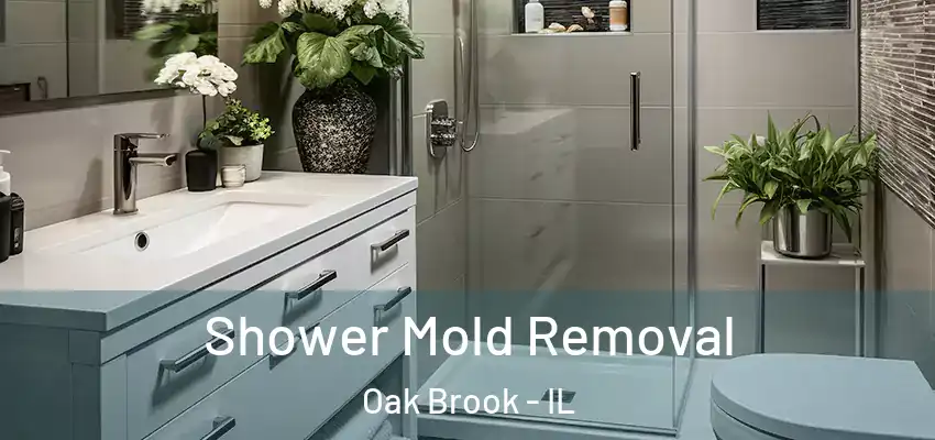  Shower Mold Removal Oak Brook - IL
