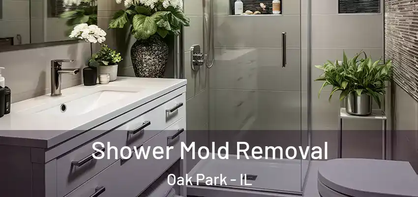  Shower Mold Removal Oak Park - IL