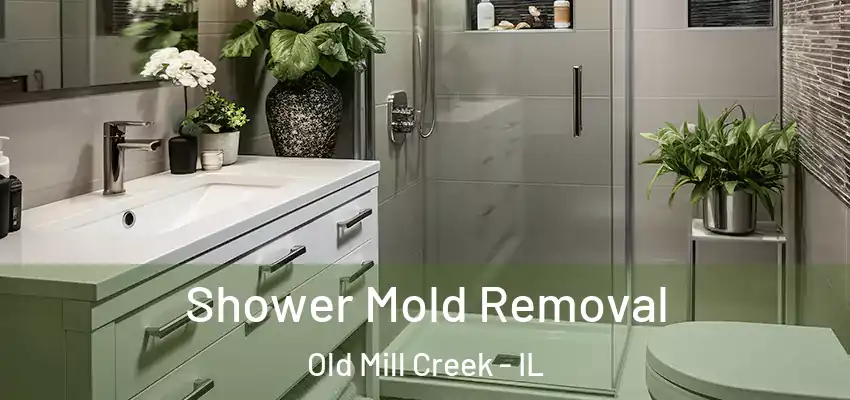 Shower Mold Removal Old Mill Creek - IL