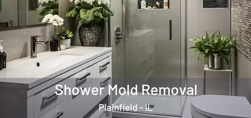  Shower Mold Removal Plainfield - IL