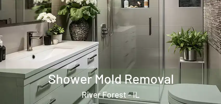  Shower Mold Removal River Forest - IL