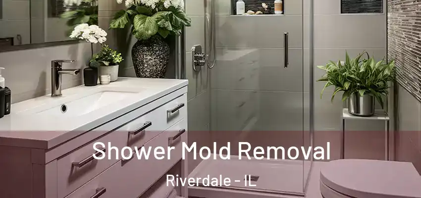  Shower Mold Removal Riverdale - IL