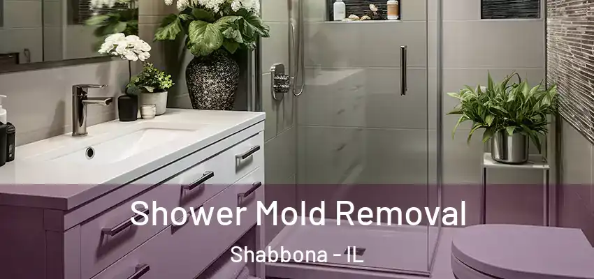  Shower Mold Removal Shabbona - IL