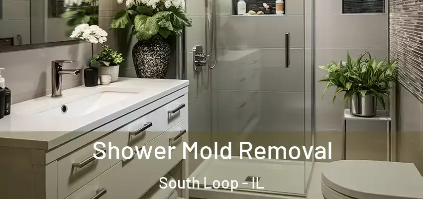  Shower Mold Removal South Loop - IL