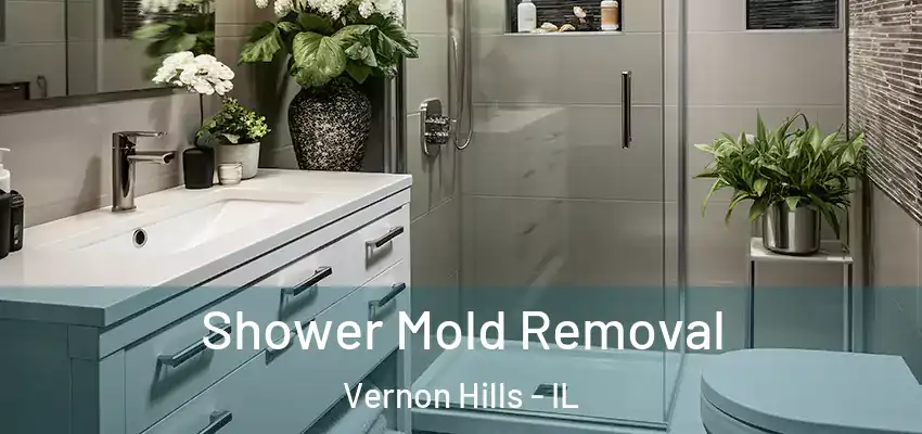  Shower Mold Removal Vernon Hills - IL