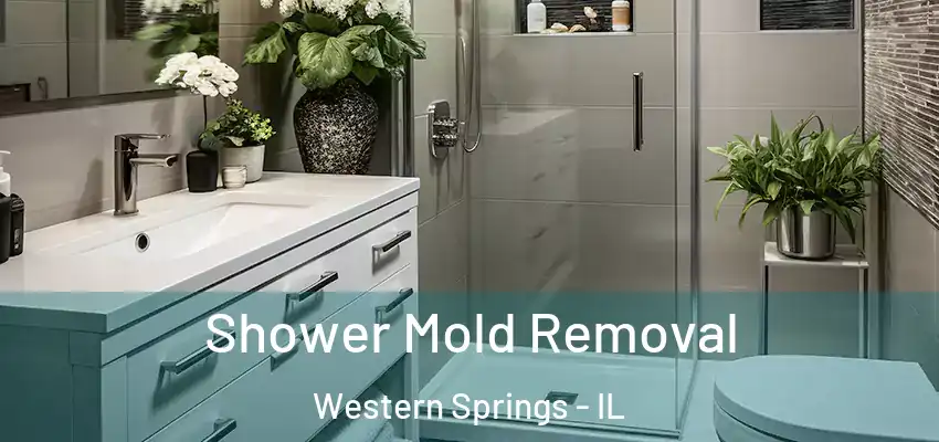  Shower Mold Removal Western Springs - IL