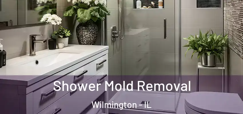  Shower Mold Removal Wilmington - IL